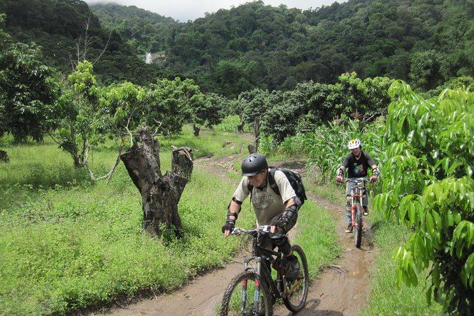 No.1 Chiang Mai: Advanced XC Downhill Biking, Doi Suthep N. Park
