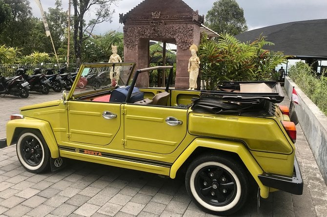 10 Best Safari Tours In Ubud