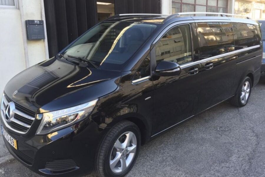 4 Best Dolphin Watching Tours In Setubal