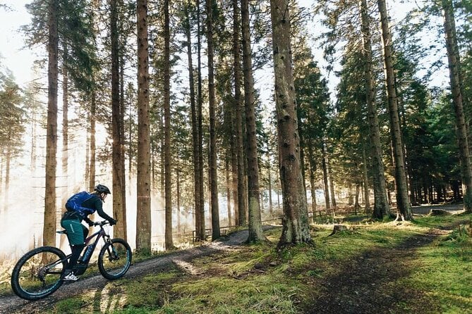 4 Best Bike Tours In Poole