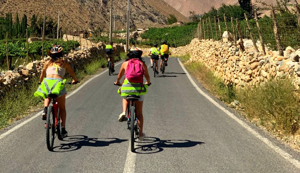 2 Best Bike Tours In Pisco Elqui