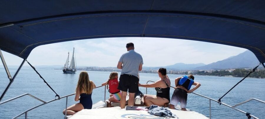 3 Best Dolphin Watching Tours In Estepona