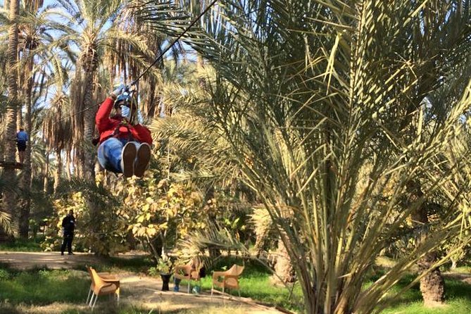 Excursion Sahara Lounge Tozeur