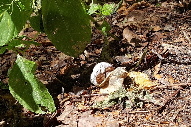 2 Best Massage And Relaxation Services In Germany