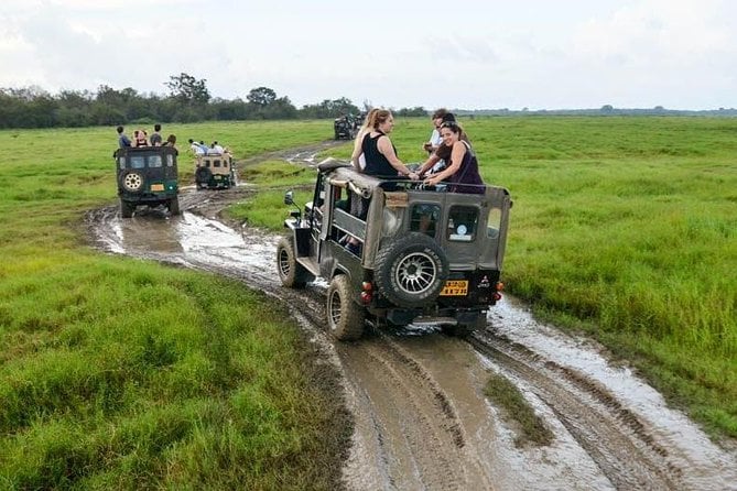 6 Best Safari Tours In Wilpattu National Park