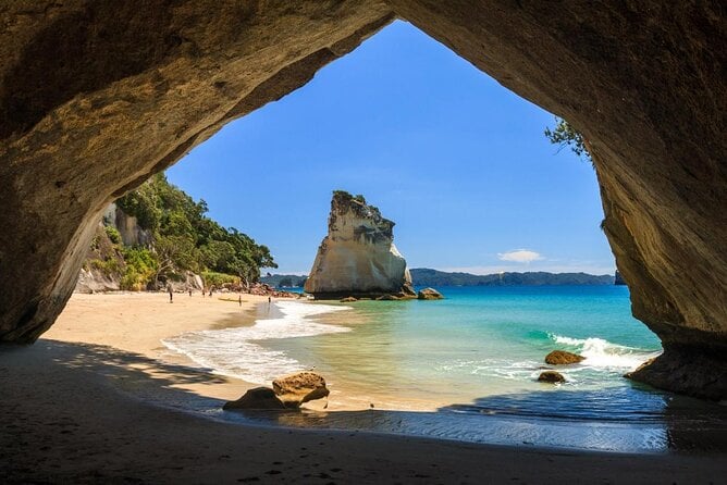 6 Best Boat Tours And Cruises In Whitianga