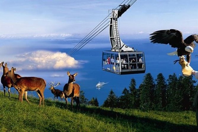 3 Best Bike Tours In Bavaria