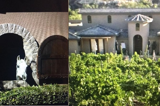 6 Best Wine Tours In Scottsdale