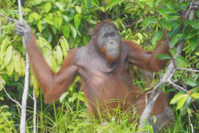 Best Tours In Indonesia