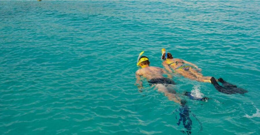 2 Best Snorkeling Experiences In La Palma