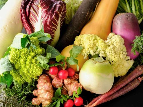 Yokosuka’s 10 Best Hotels