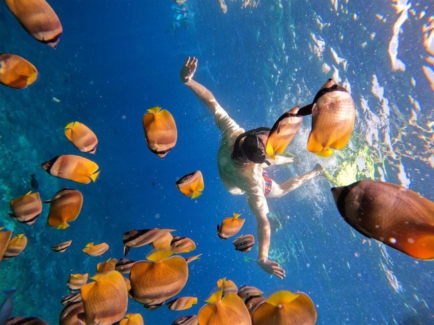 3 Best Snorkeling Experiences In Batoemadeg Nusa Penida