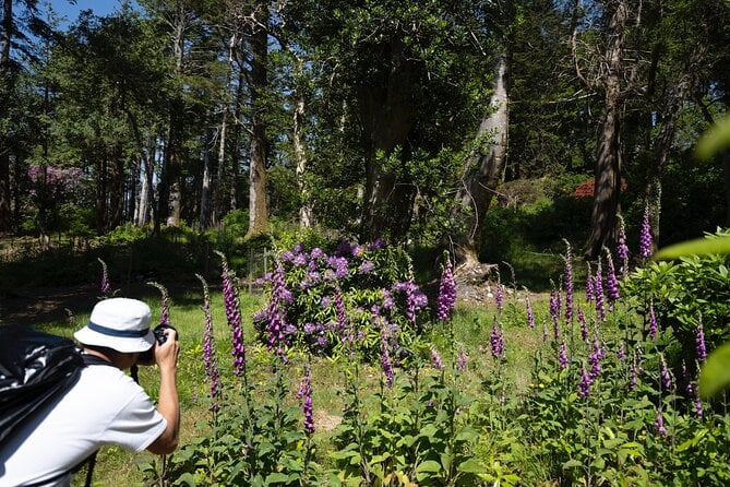 2 Best Tours In Kenmare