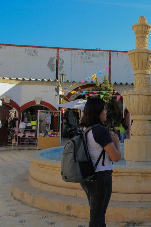 Private Tour in Parras Coahuila Through the Historic Center - Good To Know
