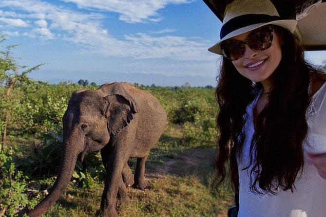 8 Best Safari Tours In Uva Province