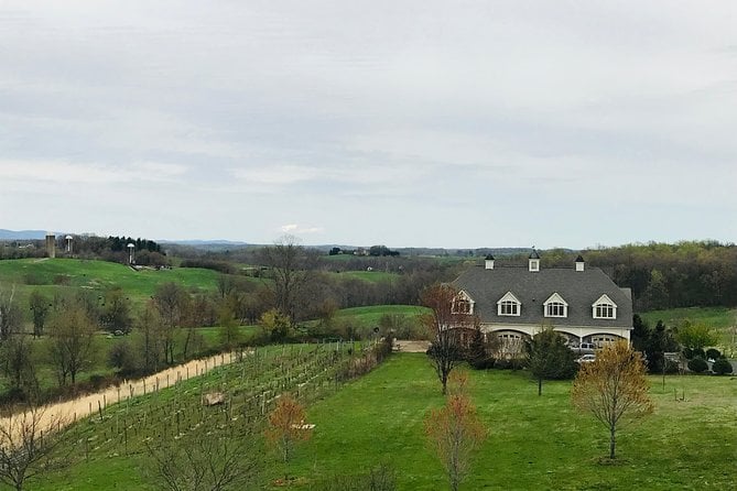 5 Best Wine Tours In Washington Dc