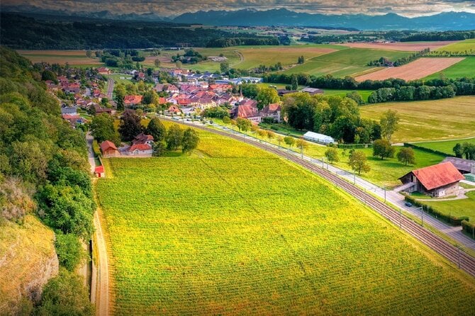 2 Best Wine Tours In Switzerland