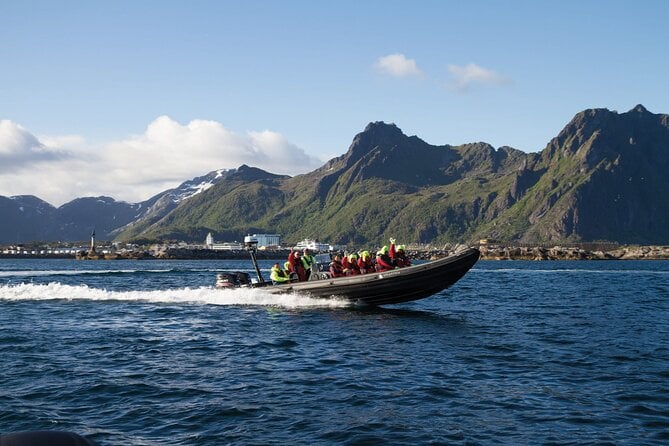4 Best Safari Tours In Svolvaer