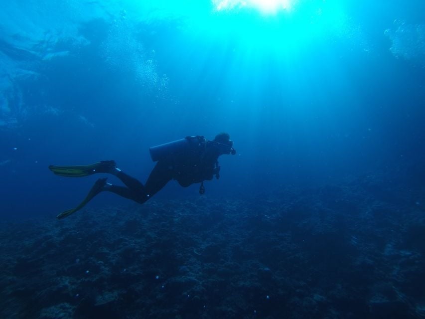 5 Best Scuba Diving Experiences In Sri Lanka