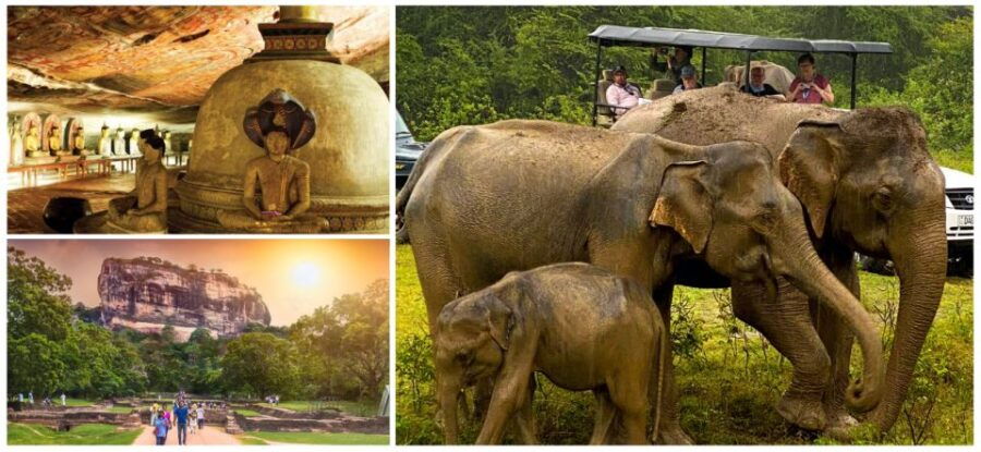Sri Lanka: Western Province Highlights Day Tour and Safari