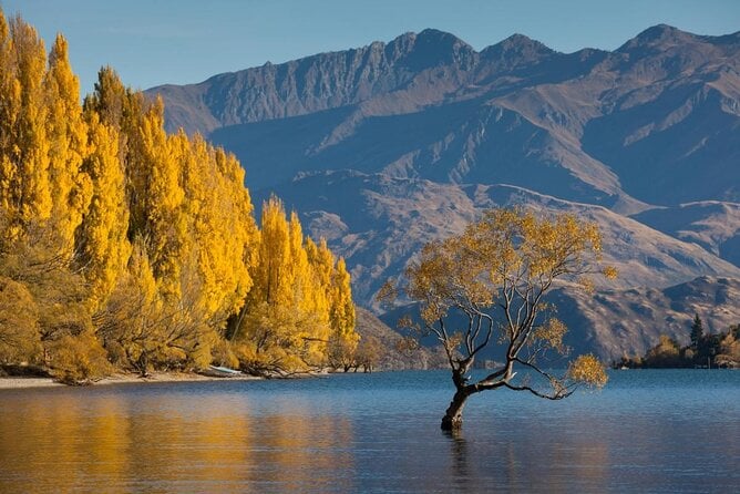 Best Boat Tours And Cruises In Wanaka