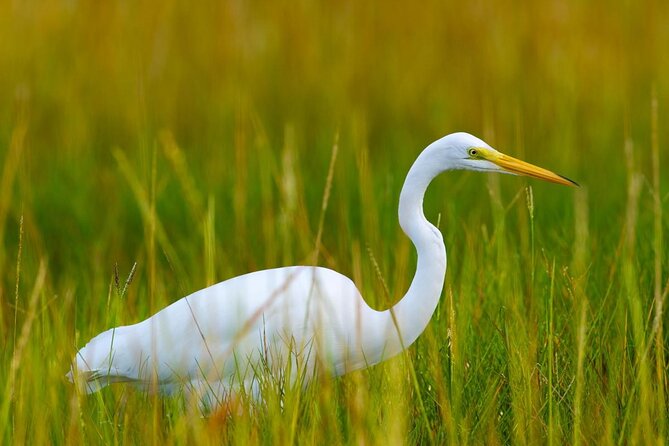 6 Best Fishing Tours In Tampa