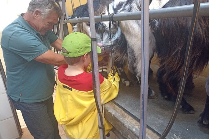 22 Best Wine Tours In Tenerife