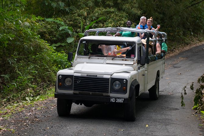 5 Best Safari Tours In St Lucia