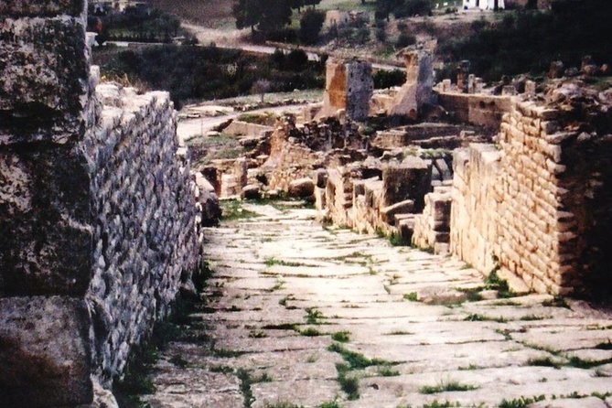 Tunis Private Dougga Guided Tour - Tunisia
