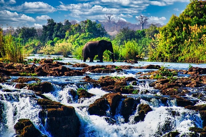 25 Best Safari Tours In Victoria Falls