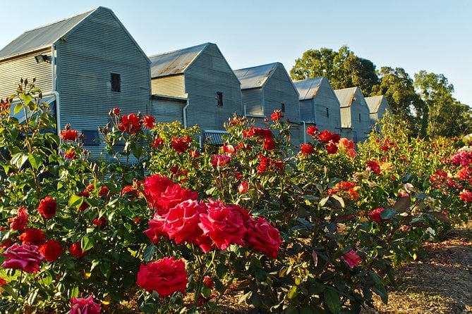 14 Best Wine Tours In Victoria