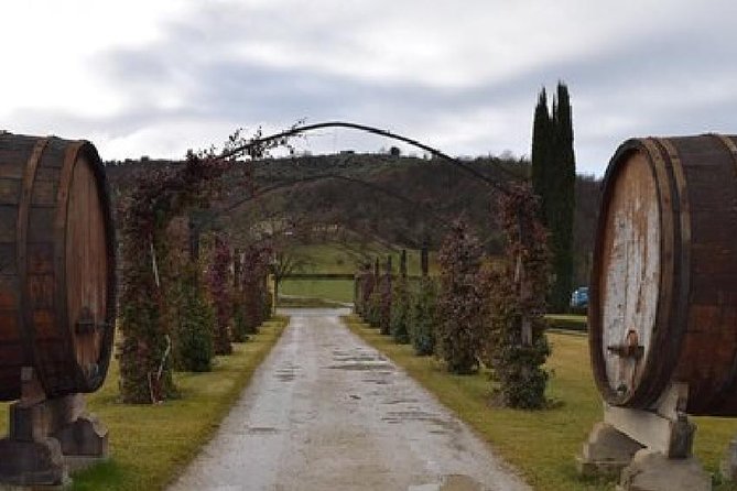 4 Best Wine Tours In Umbria