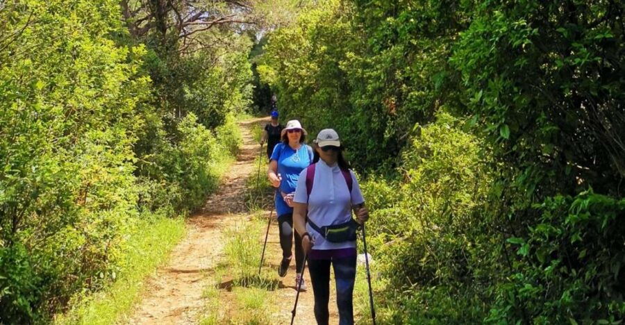 Walking Through Ancient Konavle Villages With a Tasty Finish
