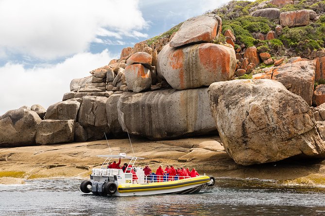 2 Best Boat Tours And Cruises In Wilsons Promontory National Park