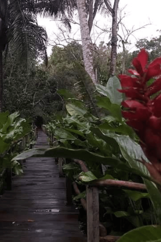 San Cristobal: Coffee Tour in the Mountains of Chiapas